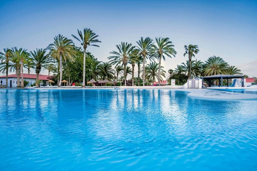 Großer Pool im Aldiana Club Fuerteventura, umgeben von Palmen und Liegen unter Strohschirmen, mit entspannter Clubatmosphäre unter blauem Himmel.
