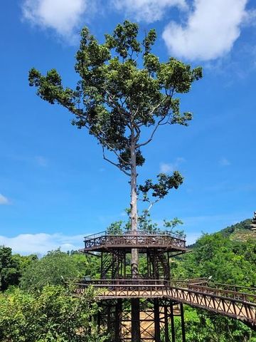Aussichtsplattform des Skywalks unter einem hohen Baum auf Koh Samui