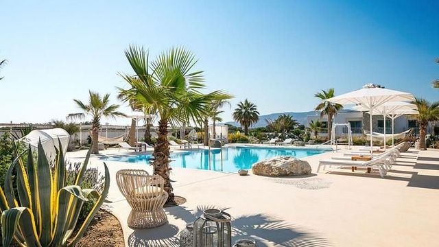 Pool mit Palmen und Liegen im White Pearls Luxury auf Kos